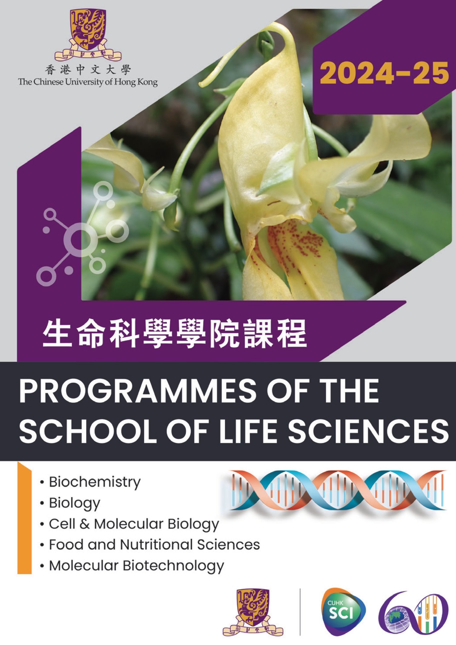 SLS booklet24 25cover